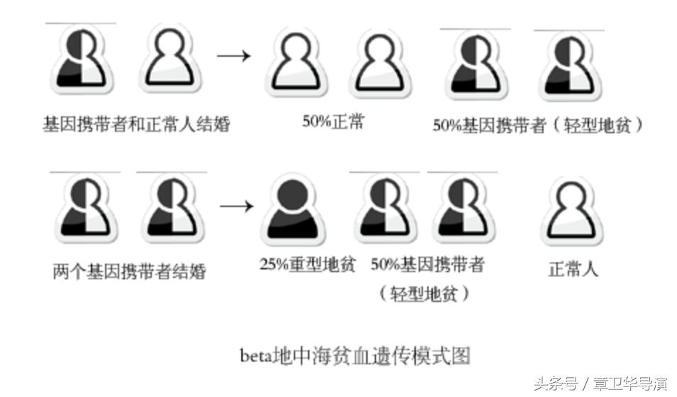 准妈妈不应错过唐氏筛查,产检怀疑有地贫要不要去确诊