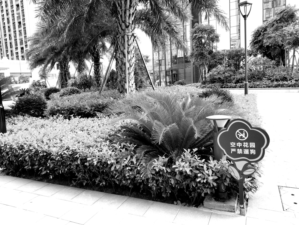 三星galaxys8+值得入手吗,三星galaxys8轻奢版开箱