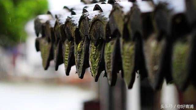 朱家角6路时刻表,朱家角西湖街176弄