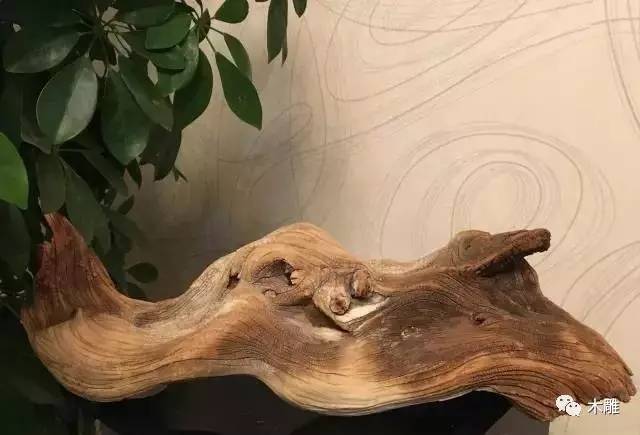 刚到手崖柏就两半了,崖柏会不会开裂