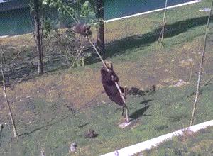 轻松一刻应该怎么做,轻松一刻到底重点在哪里