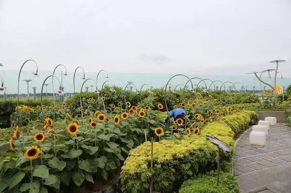 世界最值得一去的机场排名,全球排第一的机场