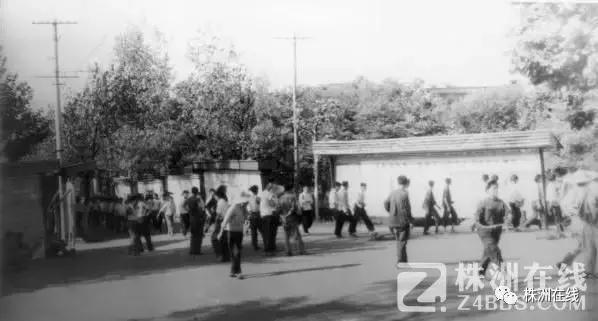 鏈変竴绉嶉潚鏄ュ彨鍘傜熆瀛愬紵,鏍床鍘傜熆瀛愬紵