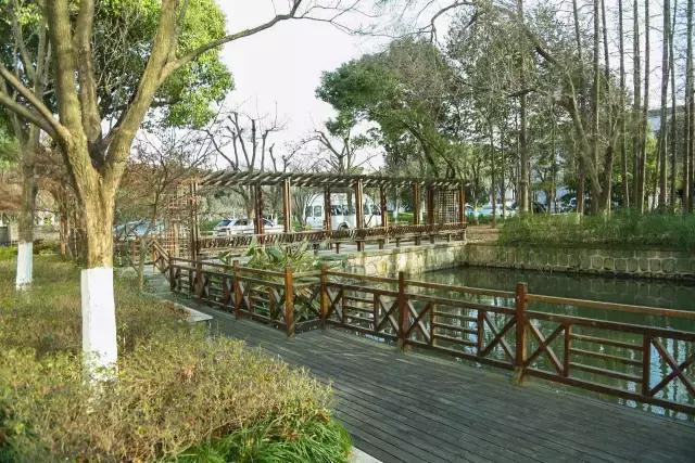 邂逅苏农,苏农视频