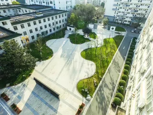 邂逅苏农,苏农视频