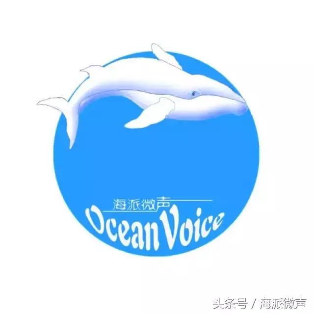 kevin马老师谈留学,kevin老师讲留学