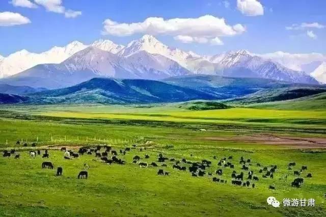 山丹军马场几月份最漂亮,山丹军马场特色