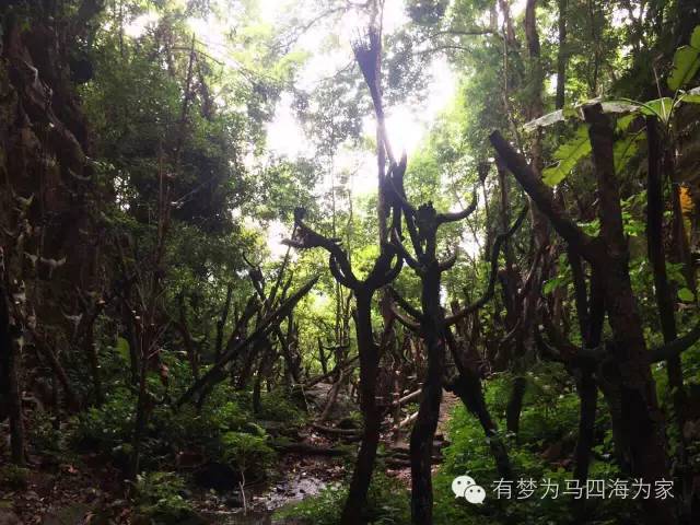 国内居然还有用人头祭祀的神秘部落！淘宝掌柜环游旅行第二十七集