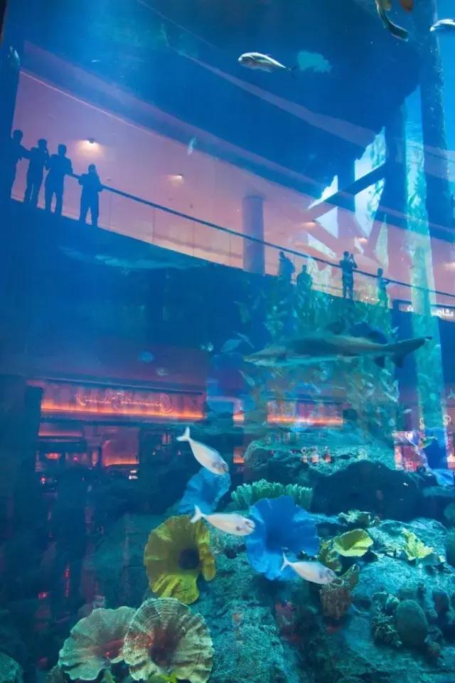 纸醉金迷的启航之路——迪拜（下）