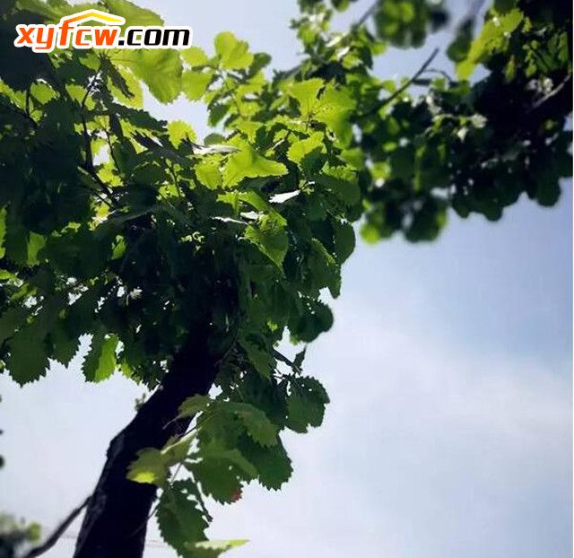 六号公馆歌曲完整版,六号公馆小说