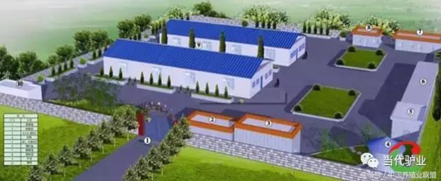 养驴驴舍怎么建,养驴的圈舍怎么建设