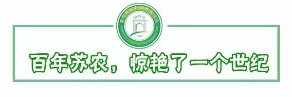 邂逅苏农,苏农视频