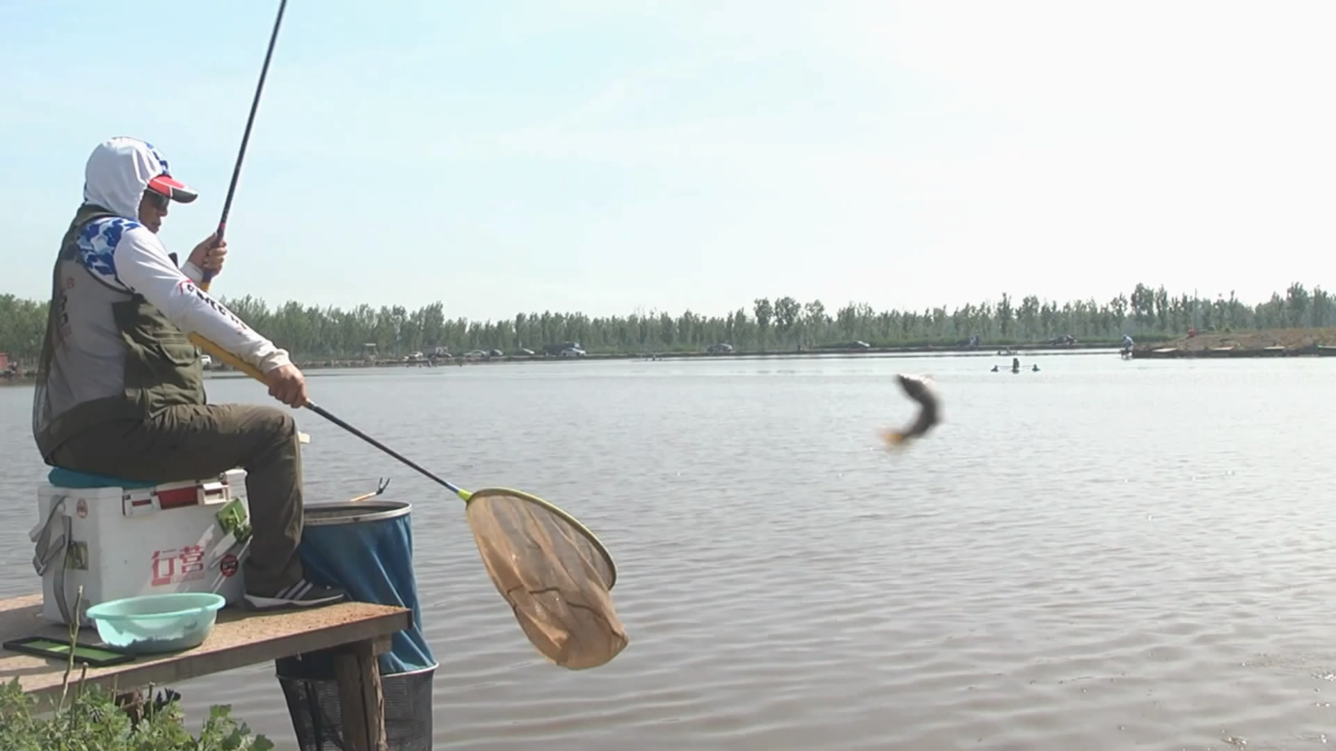 黑坑钓鱼快速抢鱼,黑坑抢鱼和野钓