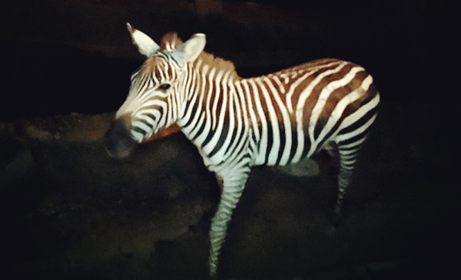 第一次来泰国不知道这5件事,第一次去旅游不知道去哪里好