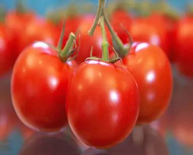 拒绝尬聊100句话,拒绝尬聊啥意思