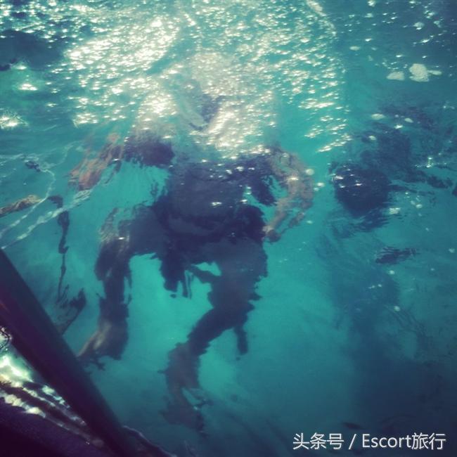 旅游景点攻略毛里求斯,分手大师毛里求斯取景酒店