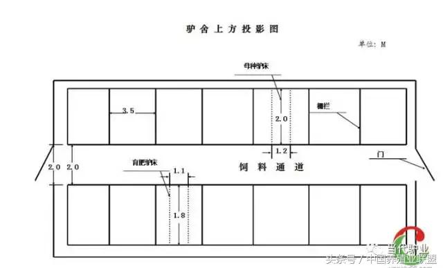 养驴驴舍怎么建,养驴的圈舍怎么建设