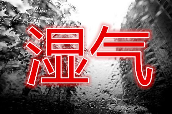 湿气重一招祛湿,湿气18个表现