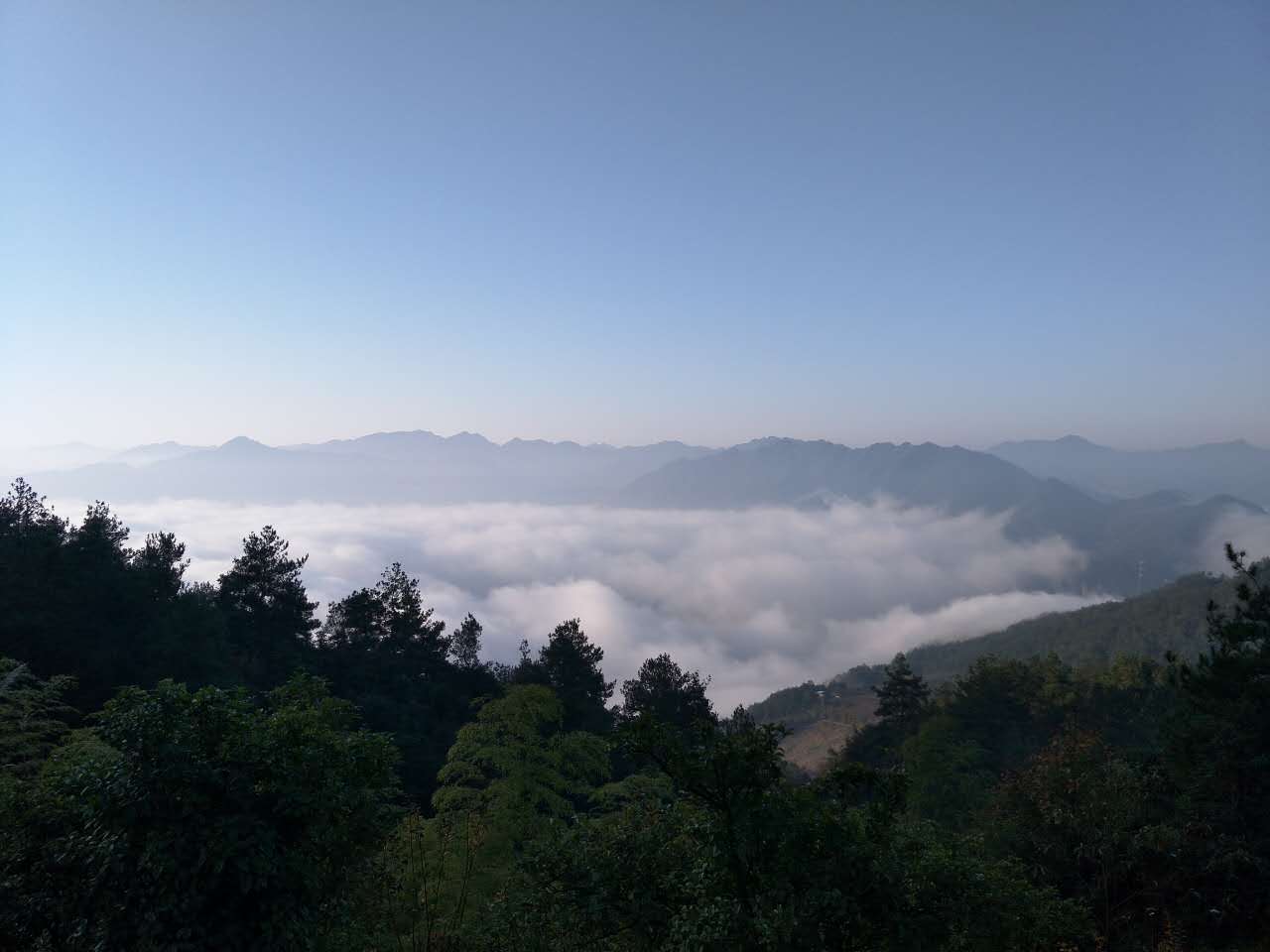 返璞归真原唱歌曲,返璞归真原唱完整版