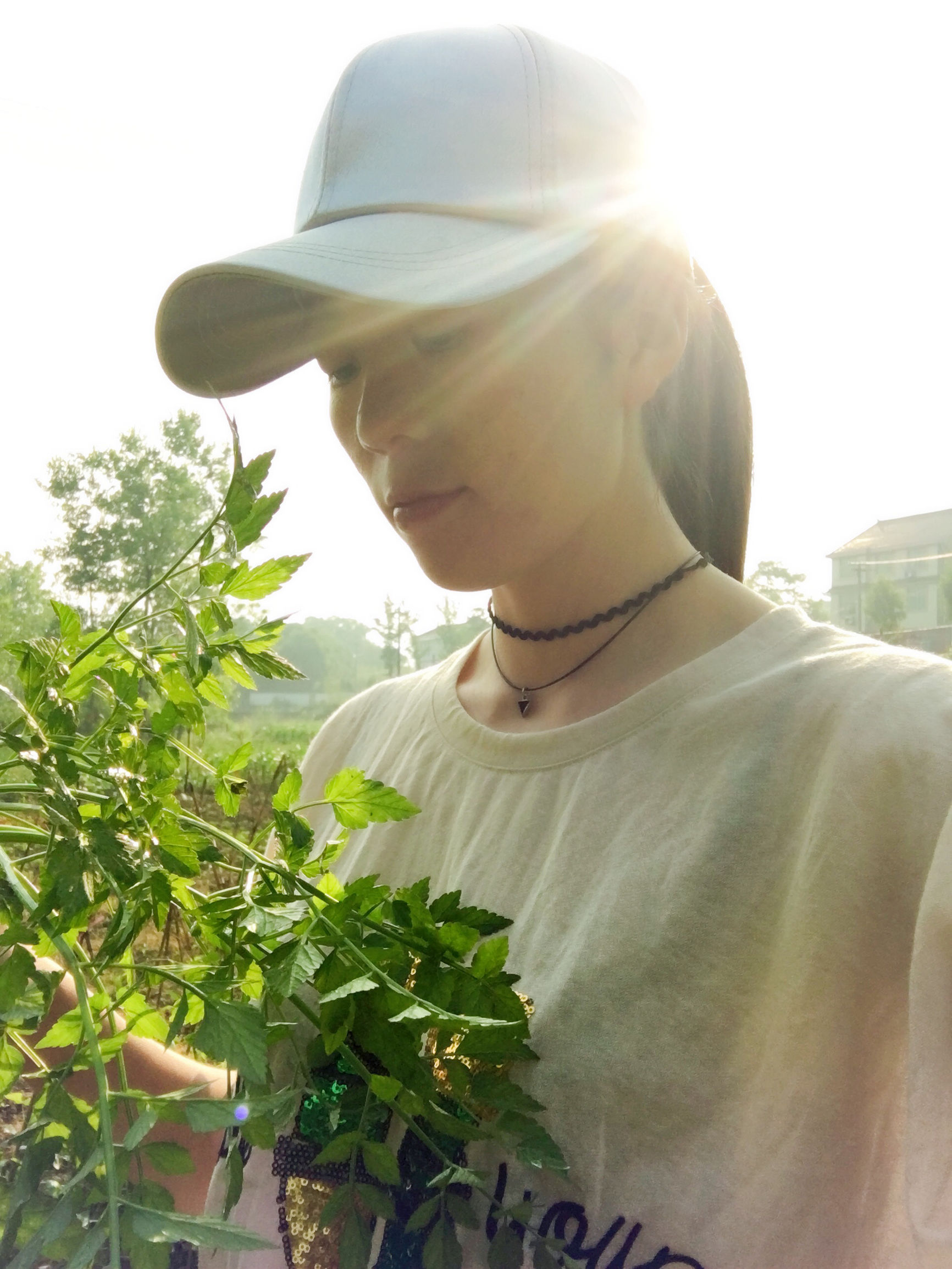 返璞归真原唱歌曲,返璞归真原唱完整版