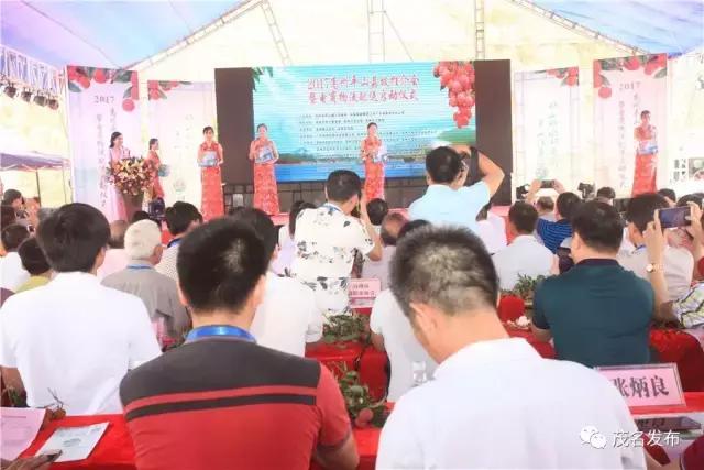 楂樺窞鑽旀灊鐢靛晢,楂樺窞鑽旀灊鐢靛晢甯傚満钀ラ攢鏂规