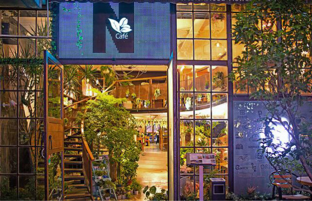 深圳最漂亮的小仙女在哪里,深圳最漂亮女神