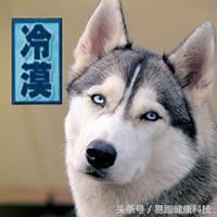 各种减肥陷阱,这5个减肥骗局你中招了吗