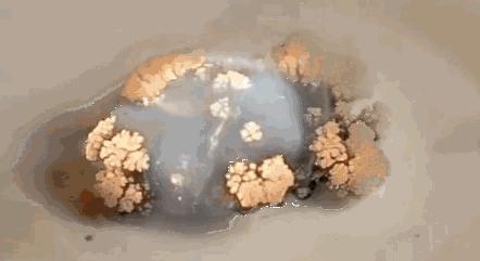 初二物理满分多少,初二物理用什么资料可以满分