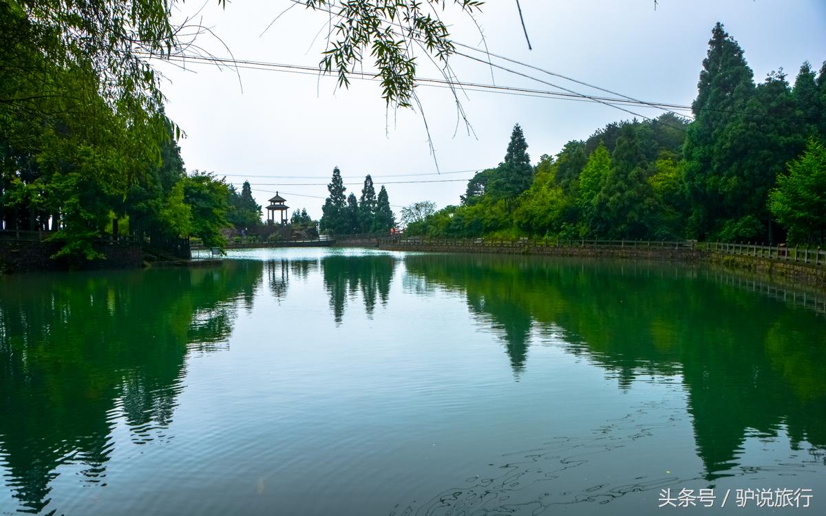 苍南南大门在灵溪哪里,浙江苍南属于南方还是东方