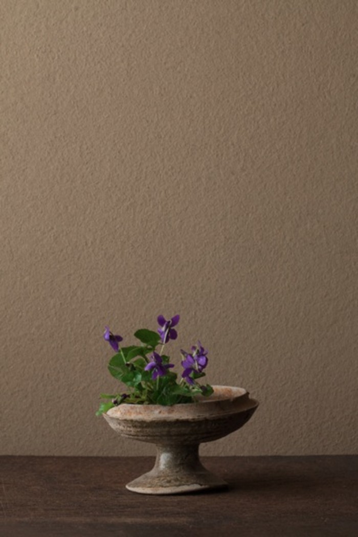 开到荼蘼花事了|川濑敏郎《一日一花》