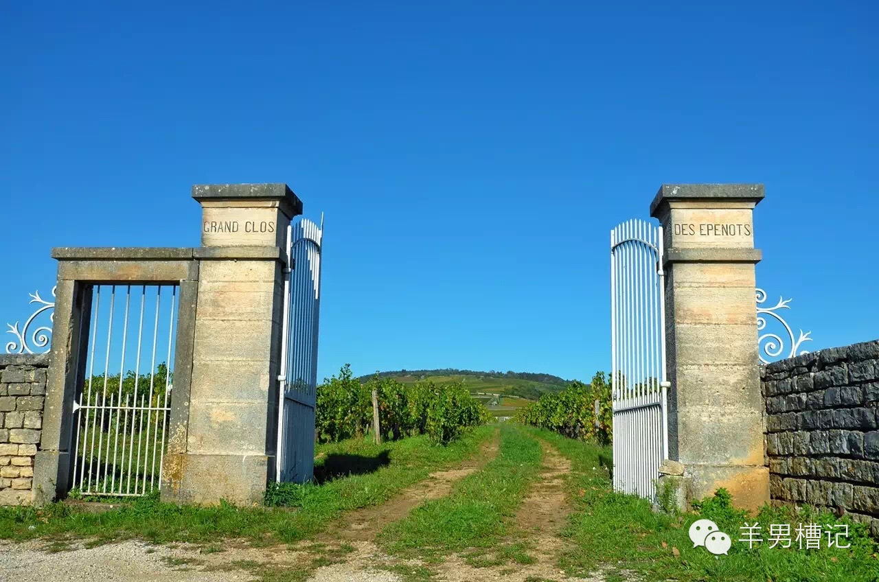 美人鱼里的红酒叫什么名字,美人鱼红酒罗曼尼康帝