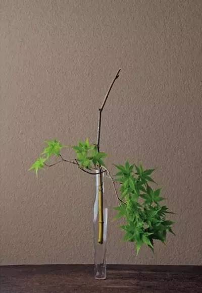 开到荼蘼花事了|川濑敏郎《一日一花》