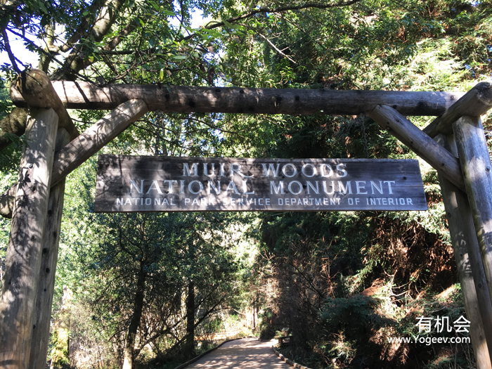 现实中的魔法森林,魔法森林教学课件