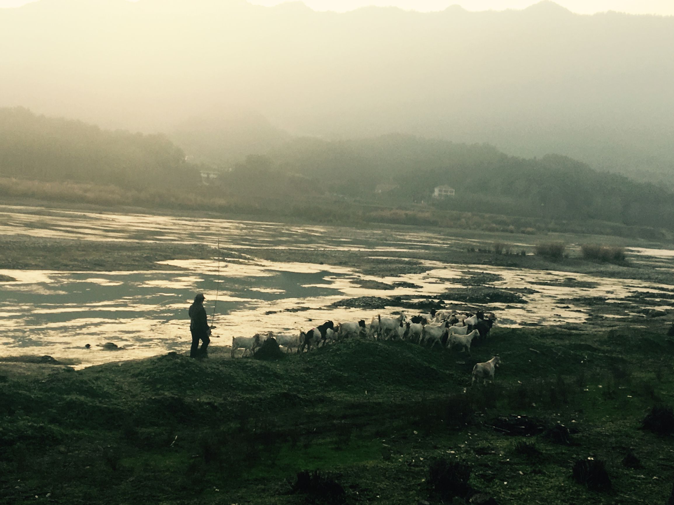 返璞归真原唱歌曲,返璞归真原唱完整版