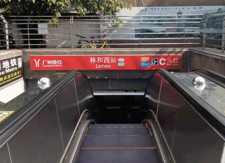 林和西还能出去吗 (林和西视频)