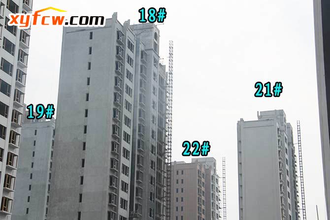 金园世界城二期工程,世界城二期开盘多少钱