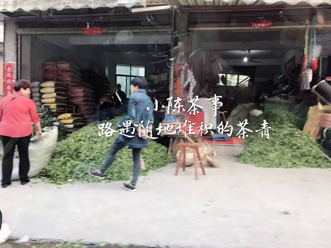新人买白茶从3个方面入手可避坑,新手入门怎么买白茶杯好