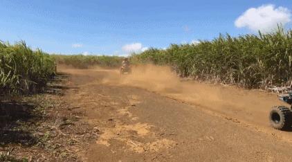 毛里求斯免签,毛里求斯在中国免签停留时间