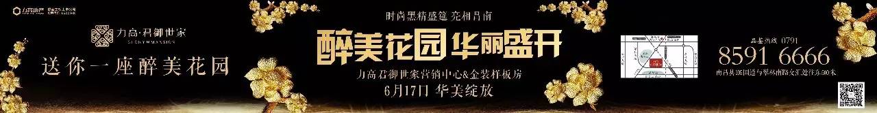 力高君御世家高层样板间,深度解析力高君御世家108户型在售