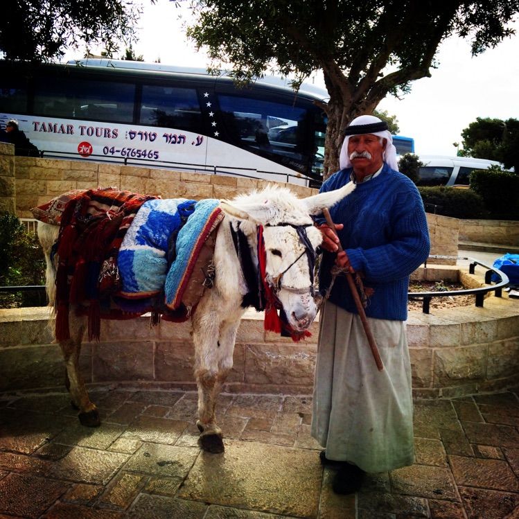 上帝只赐给以色列那么小土地吗 (以色列上帝应许之地)