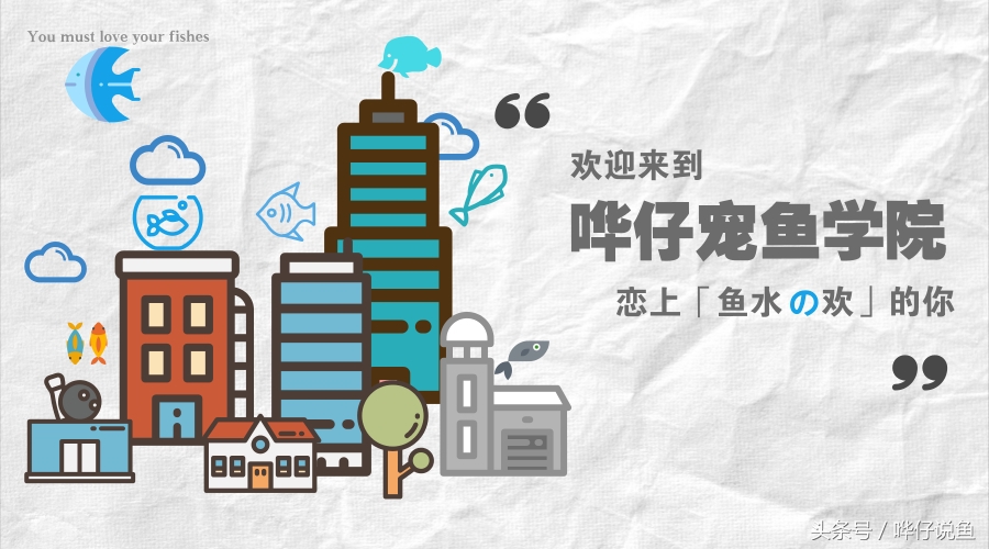 危险信号！你的鱼缸里有泡泡啦！发现神秘泡沫，请第一时间保护你的宠物鱼，给你一个小妙招