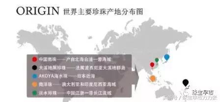 真正的野生珍珠图片,野生珍珠贵吗