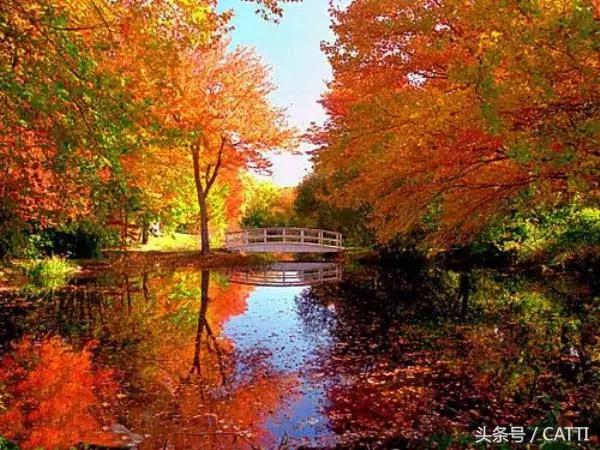 2017-2019鏂拌瘝鏂拌,2017骞寸殑鏂拌瘝鏂拌