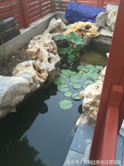 简单实用小庭院鱼池,庭院鱼池改造设计图片