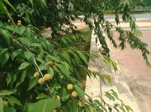 “辽宁高招指南”探秘绿岛，遇见你是我最美丽的意外！