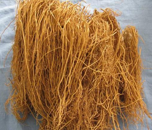 活血祛瘀药之王不留行——用药经验