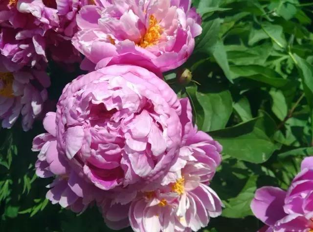 “辽宁高招指南”探秘绿岛，遇见你是我最美丽的意外！