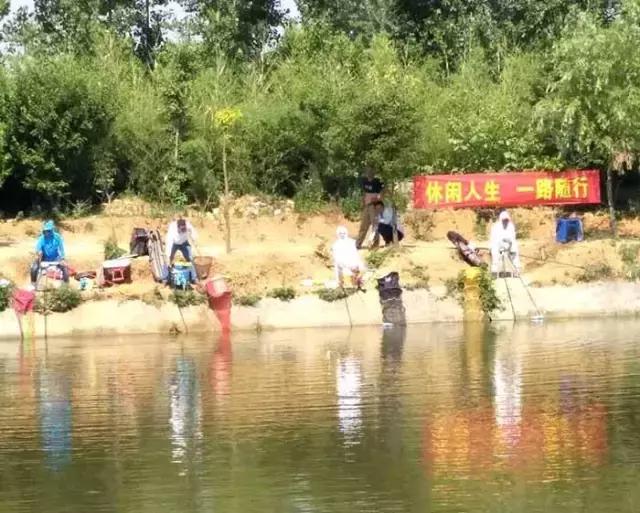 南阳古镇钓鱼比赛冠军,南阳行营钓具