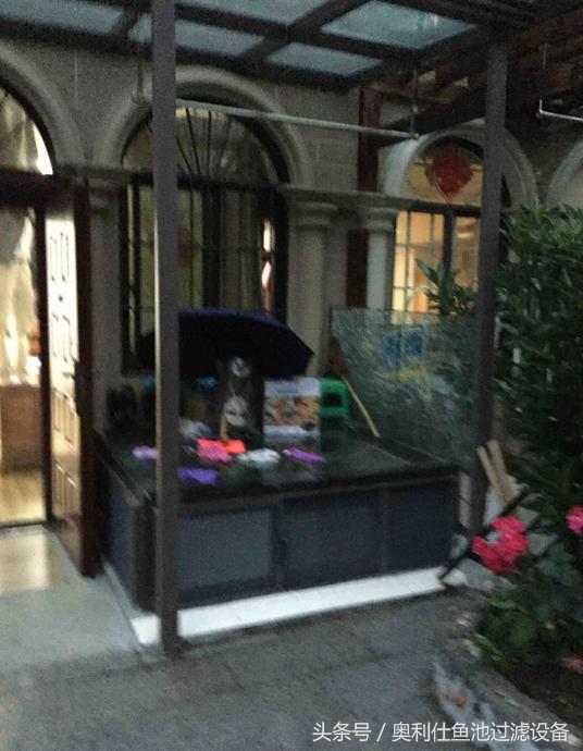 简单实用小庭院鱼池,庭院鱼池改造设计图片