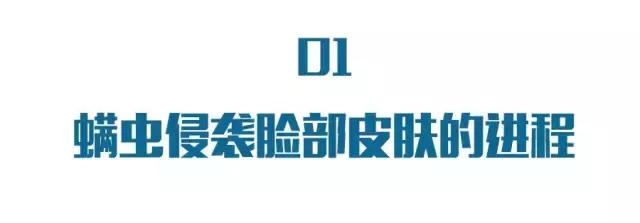 祛除黑头粉刺痘痘螨虫收缩毛孔,鼻子黑头多脸上毛孔大是螨虫